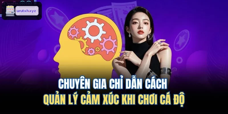 Hướng dẫn quản lý cảm xúc khi chơi cá độ