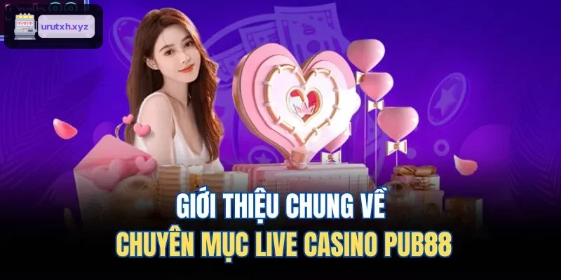 Giới thiệu chung về chuyên mục live casino ZBET