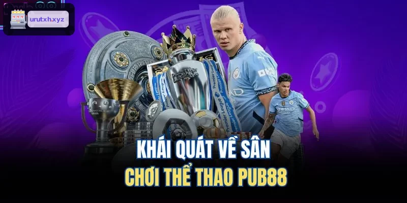 Khám phá sân chơi thể thao ZBET