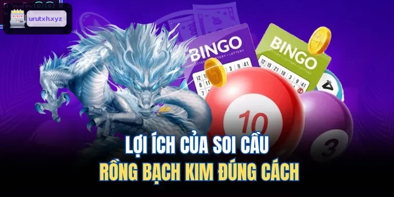 Những lợi ích thiết thực của soi cầu rồng bạch kim