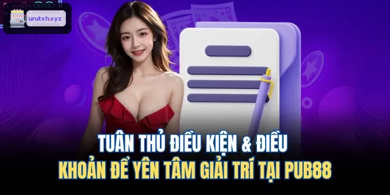 Tuân thủ điều kiện & điều khoản để yên tâm giải trí tại ZBET